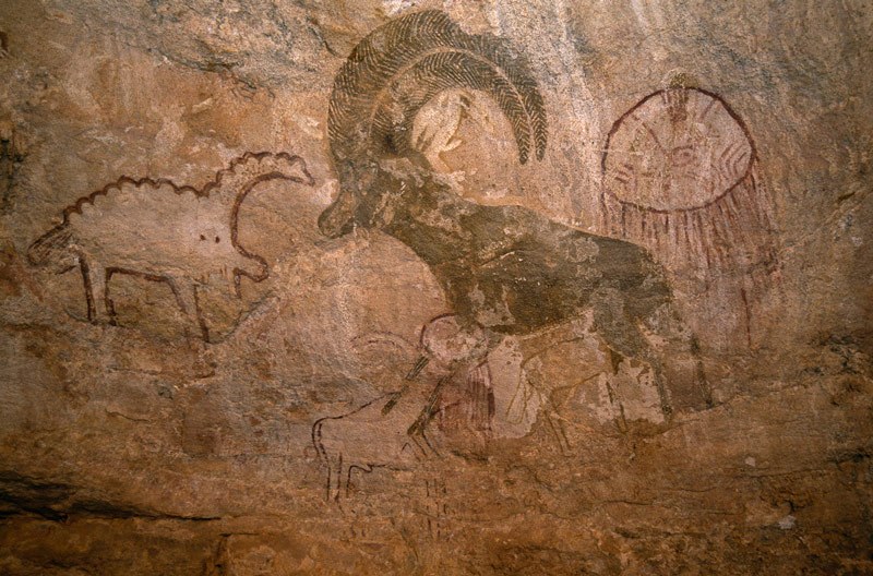 Djanet, Algeria. Close-up of red Barbary sheep, oval with dependent rays and schematic cow(?) outlined in red. Note red outlined animal between sheep’s legs and torso of person with penis behind sheep’s horn. Image ID: algdja0030014