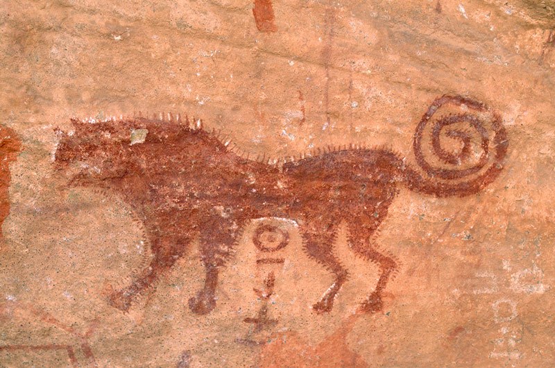 Oued Djaret, Algeria. Close-up of red predator (lion) facing left. Image ID: algdja0040010