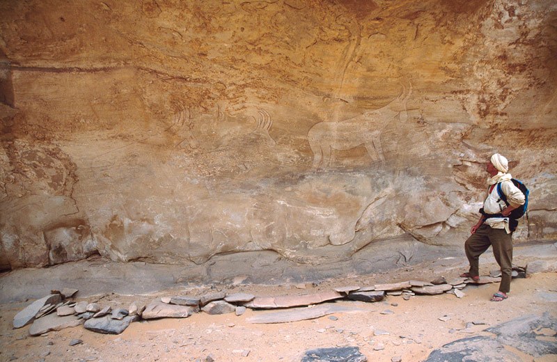 Image ID: algdja0080007