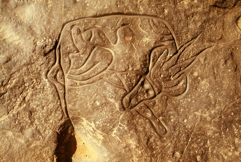 Tassili. Oued Dider, Algeria. Deeply engraved antelope, 0,47 metres, with polished lines and decoration. Extended back leg touches hole in rock that holds water after rain. Image ID: algtdi0010029
