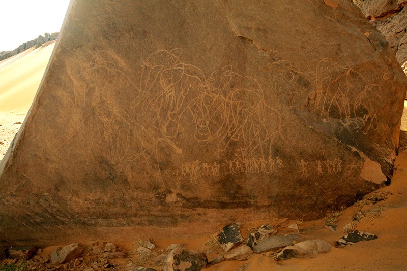 Tadrart, Algeria. Engraving of elephant herd walking left. Elephants are engraved in polished outline with some decoration on trunks and ears. Image ID: algtdr0040003
