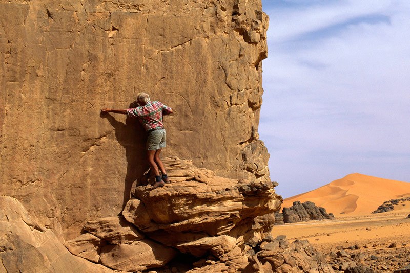 Tadrart, Algeria. Between 4,0 and 5,5 metres above ground level on face of sandstone cliff, polished-outline engraving, eroded at tail end, of huge domestic bull facing right. Image ID: algtdr0050005