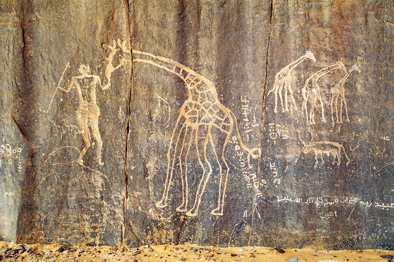 Tadrart, Algeria. Man, in general style of Libyan Warrior and partially block-pecked. Two outline birds, probably ostrich walk left. Image ID: algtdr0100002