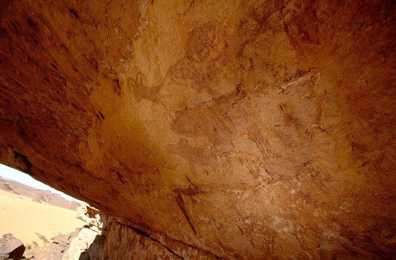 Tassili Infedanioune, Algeria.Oblique view of large panel of mouflon (Barbary sheep) and other unidentified animals (sheep?). Image ID: algtin0010009