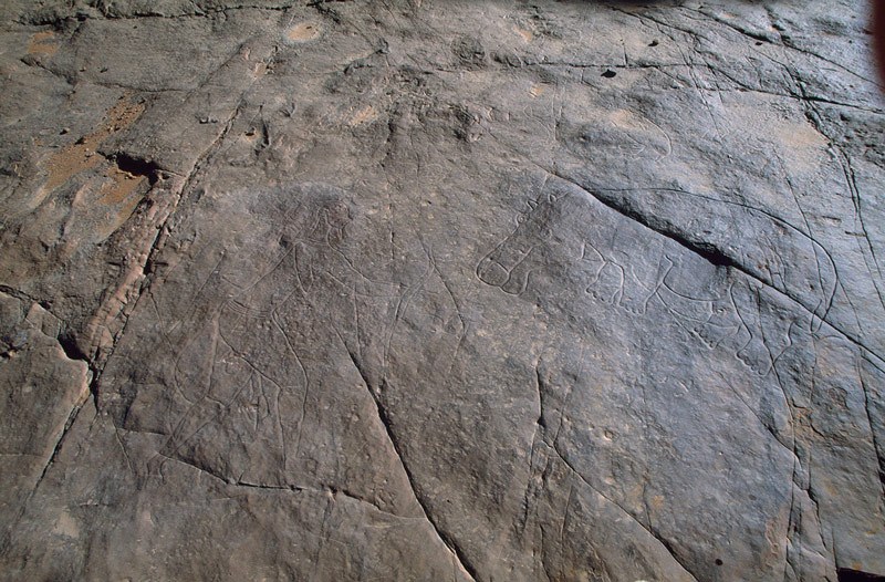 Image ID: algtoa0010009