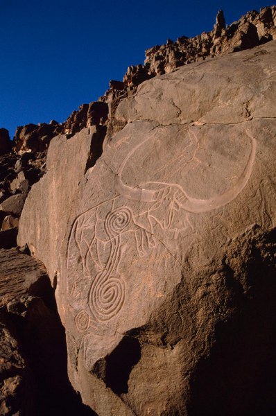 Oued Afar, Algeria. Oblique view of engravings of spirals superimposing bubalus. Image ID: algtod0040003