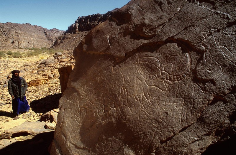 Oued Djaret, Algeria. Close-up of bubalus and dog-headed men. Image ID: algtod0060002