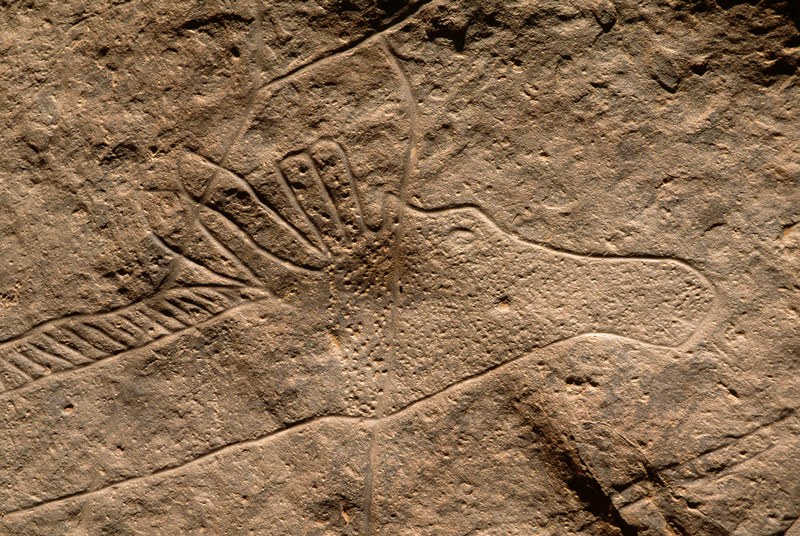 Oued Djerat, Algeria.Head of large giraffe. Note dots used as face decoration. Small cupule below eye. Image ID: algtod0070010