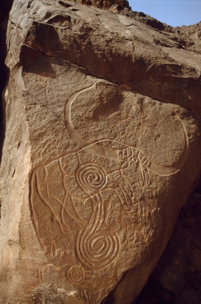 Oued Djerat, Algeria. Bubalus. Huge horns are polished with decorated bosses. Possible ‘collar’ on neck. Pecked man stands below bubalus’s head. Image ID: algtod0090004