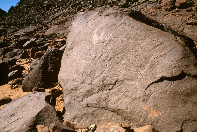Oued Djaret, Algeria. Oblique view of an outline engraving with fine polished lines of hippopotamus with small antelope to the left of it. Image ID: algtod0090006