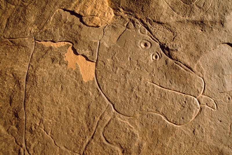 Oued Djaret, Algeria. Head of left hippo. Note two eyes and protruding tongue. Image ID: algtod0180003
