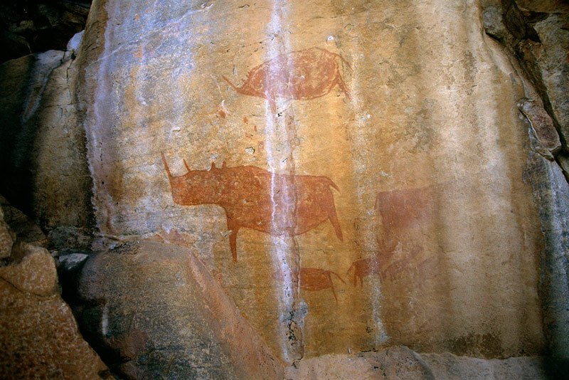Tsodilo Hills. On south cliff of Gubekho Gorge, 15 metres above top of initial steep ascent. Two large outline rhinoceros with in-filled bodies facing left. Small red animals facing left and right. Large faded antelope facing right. Image ID: bottsd0080001
