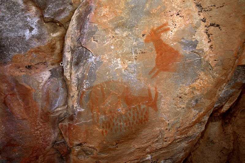 Tsodilo Hills. Quartzite rock face above shelf, 5,0 m above painted panel. Two antelope (Tsessebe?) painted in red outline and in-filled in red. One appears to be grazing, while the other jumps up startled. Image ID: bottsd0090003