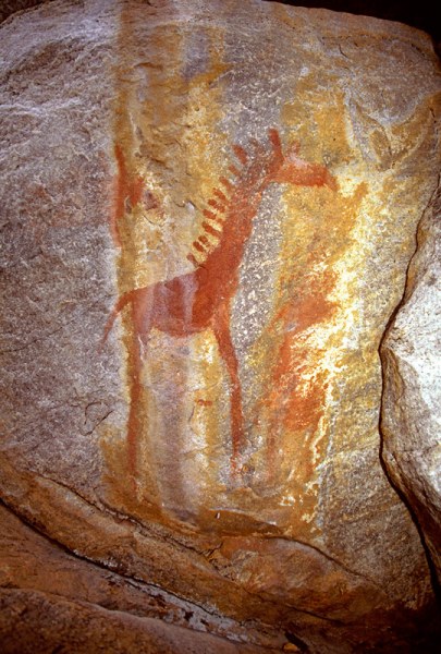 Tsodilo Hills. Silhouette of male giraffe with mythical mane facing right. Image ID: bottsd0100008