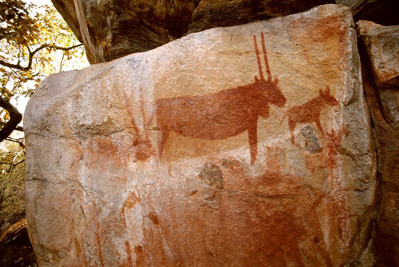 Tsodilo Hills. Silhouette of eland with calf facing right, and head and horns of faded eland at left. Image ID: bottsd0100012