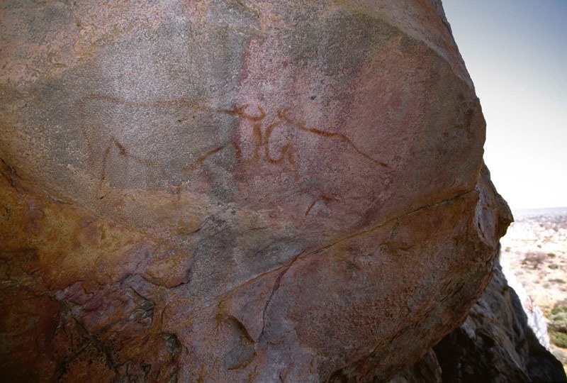 Tsodilo Hills. Cave about 30 metres above Cliff Trail. Two red outline wildebeest stand face-to-face. Image ID: bottsd0140001