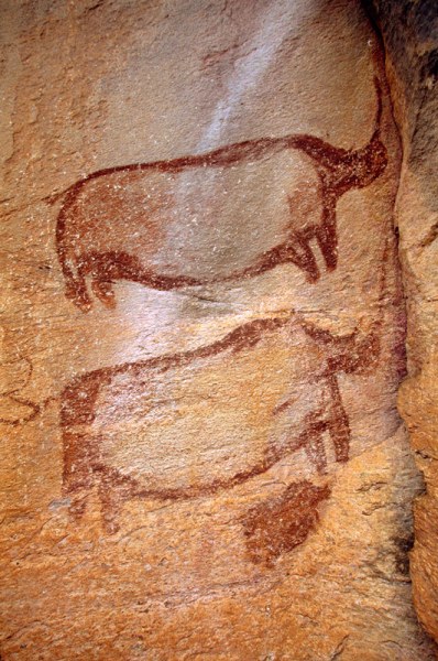 Two polychrome maroon, red and white shaded white rhinoceros above dark maroon baby rhino. Tsodilo Hills. White handprint between lower shaded rhino and baby. Note how horns positioned against crack in rock face. Image ID: bottsd0300004