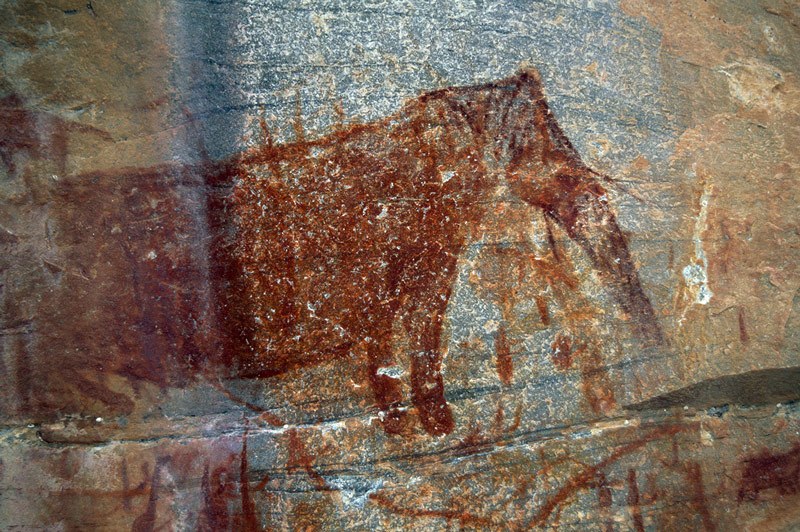 Tsodilo Hills. A close up of the large elephant.Image ID: bottsd0310005