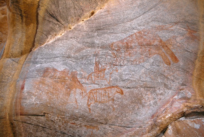 Tsodilo Hills. Two elephant and striped zebras.Image ID: bottsd0390002