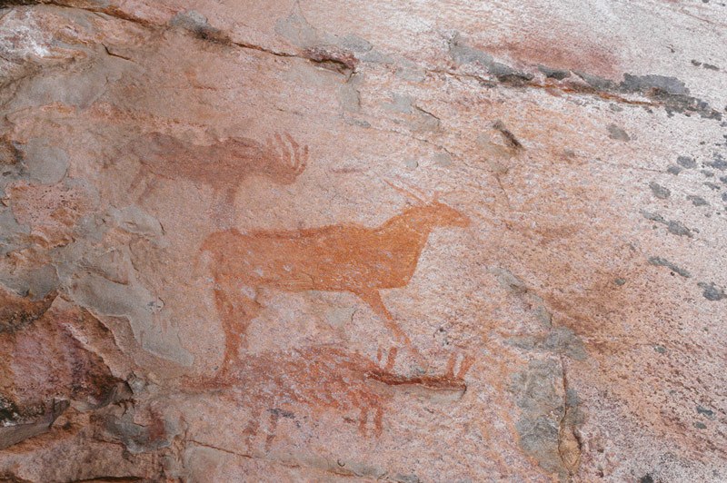 Tsodilo Hills. Details from top of panel in Image ID BOTTSD0560001, eland and mythical rhinoceros. Image ID: bottsd0560002