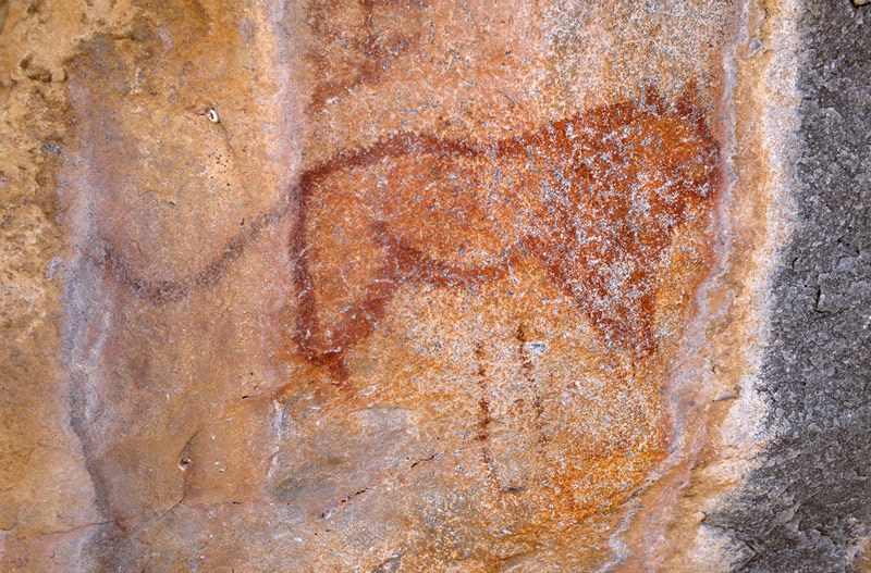 Tsodilo Hills. Outline and in-filled lion facing right with geometric shield designs above and below it. Image ID: bottsd0570005