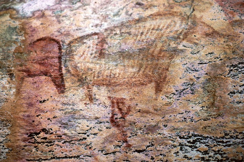 Tsodilo Hills. Striped zebra facing right, red outline animal facing left above man with penis facing right. Image ID: bottsd0620003