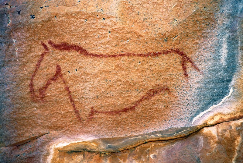 Tsodilo Hills. Red outline zebra lacking stripes. Close to Giraffe Panel. Image ID: bottsd0950001