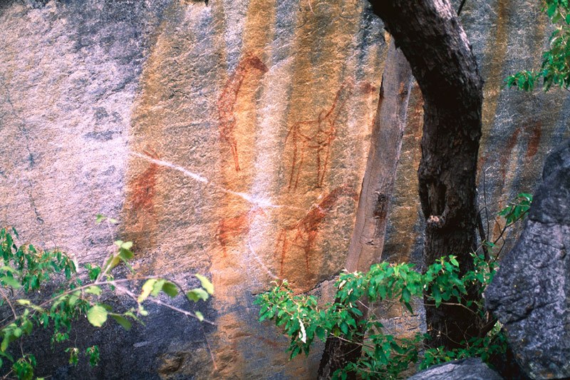 Tsodilo Hills. Hidden panel of decorated giraffes and two eland facing right. Image ID: bottsd0960002