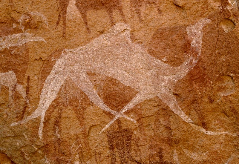 Ennedi Plateau. Image ID: chaenp0020009