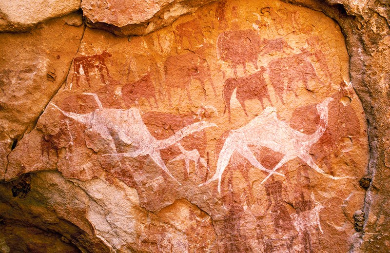 Ennedi plateau. Wall of shallow sandstone cave. Bichrome images of cattle with white udders and person with round head, facing forward and flanked by two small figures, are all superimposed by white camel running to right. Horse and Camel Periods. Image ID: chaenp0020022