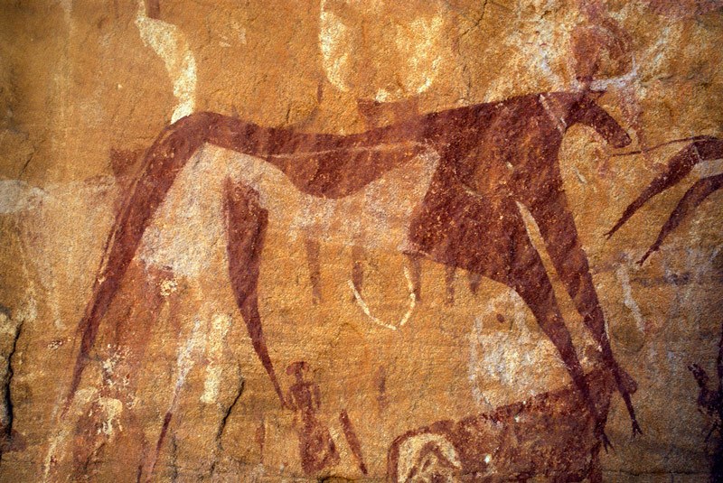 Ennedi plateau. Bichrome cow with udder wearing collar. Image ID: chaenp0050038