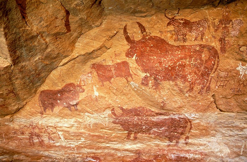 Tassili du Kozen. Large decorated bichrome red and white bull facing left among smaller decorated bulls. Clothed man facing left holding stick and shield with a headdress. Silhouette white cow facing left, bichrome red and white cow facing left, four outline cows facing left. Image ID: chatdk0010004
