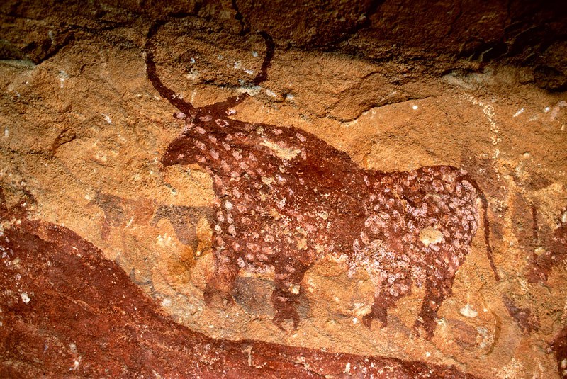 Tassili du Kozen. Detail showing red bull with lines of white spots and cloven hooves superimposing cattle facing left. Image ID: chatdk0010008