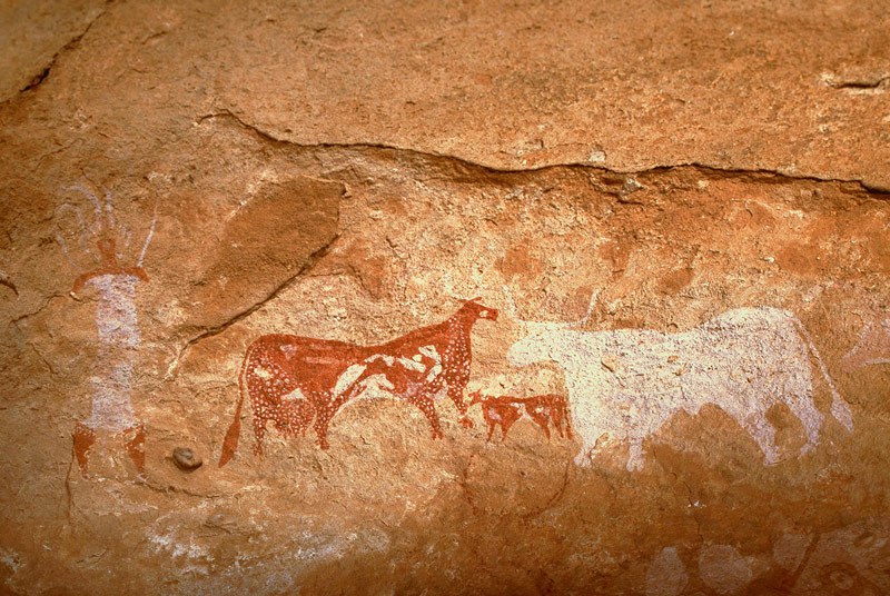 Tassili du Kozen. From left, bichrome red and white man wearing clock and headdress and holding white stick faces towards bichrome elongated cow with udder facing right, bichrome calf, and silhouette white bull facing left. Image ID: chatdk0010051