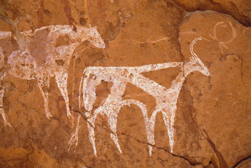 Tassili du Kozen. Roof of shallow cave. Paintings of cattle facing right superimposed on paintings of animals facing right. Top, bichrome cow white with small circular red markings, white tasselled tail and small red horns; middle red cow facing right superimposing white animal; bottom, white and red cow facing right and white bull with red markings now faded. Faded bichrome man facing fowards. Horse/Camel Period. Image ID: chatdk0010135