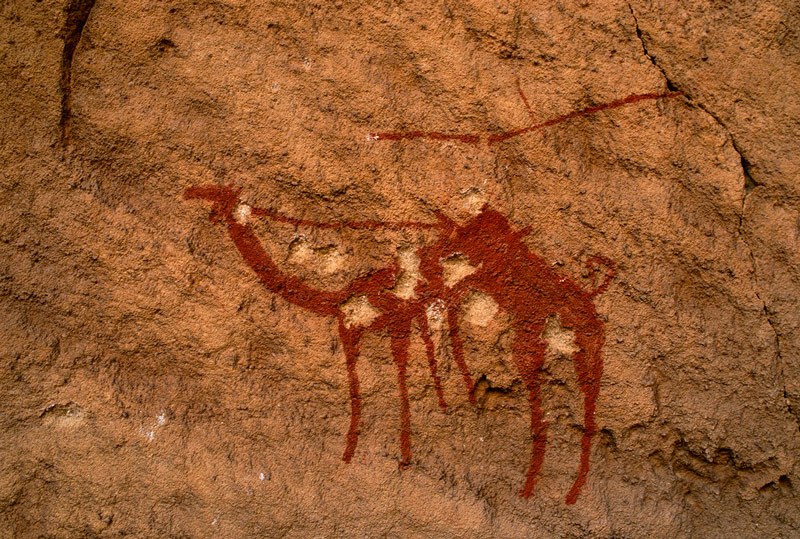 Tassili du Marmar. Maroon red camel with saddle and rein and at least ten modern bullet holes. Image ID: chatdm0010047