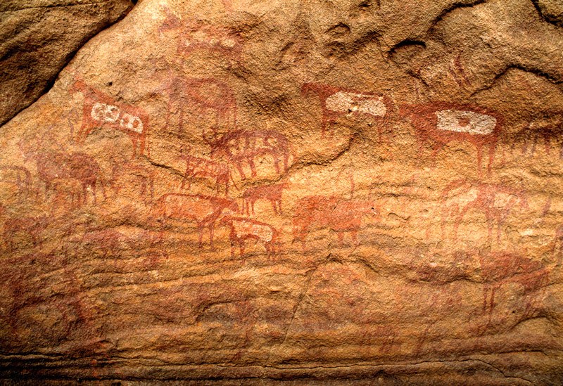 Tassili du Siniga. Bichrome cattle. Image ID: chatds0050049