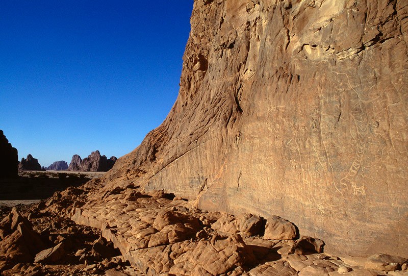 Tassili d' Emi Koussi. Oblique view of huge outline engraving of elephant with decorated trunk facing right. Image ID: chatek0060002