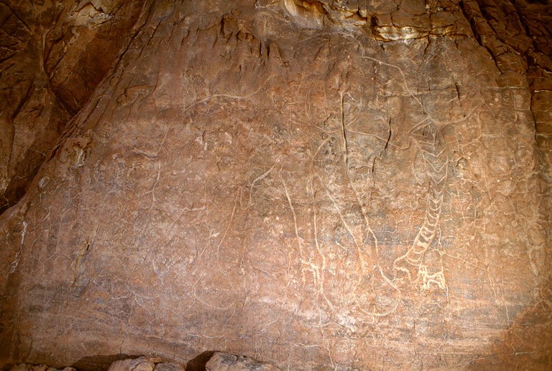 Tassili d' Emi Koussi. Direct view of huge outline elephant with decorated trunk. Note fairly recent addition of crudely pecked animal facing left at tip of trunk. Image ID: chatek0060004