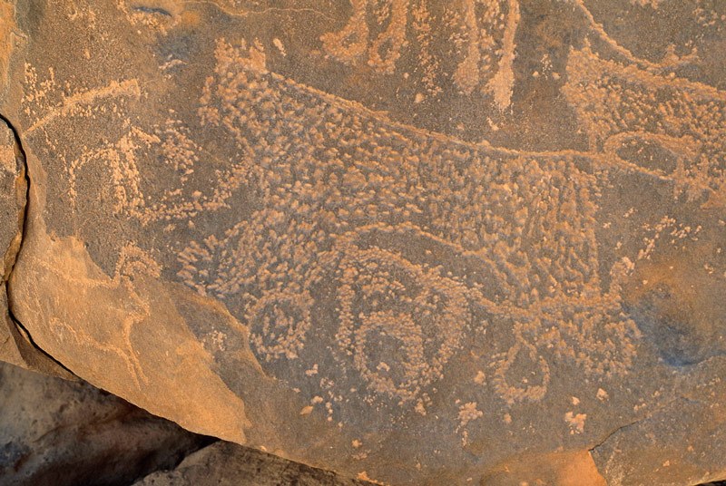 Tibesti Mountains. Detail of two predators and circles. Image ID: chatim0010003
