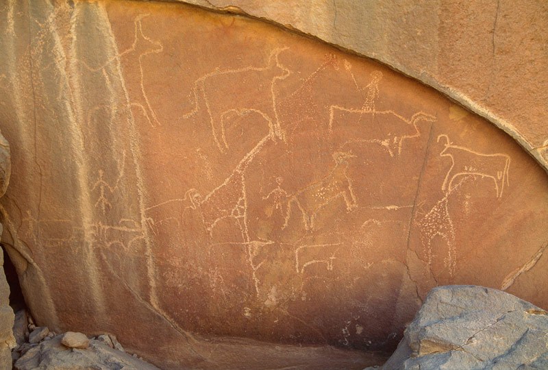 Tibesti Mountains. Outline cows, some with deliberately deformed horns, facing left and right. Two outline giraffe, one decorated with dot-pecking. Three men facing forwards. Image ID: chatim0010010