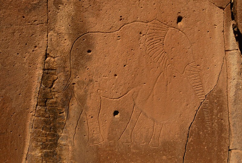 Tibesti Mountains. Volcanic tuff rock face in valley wall. Pecked and slightly smoothed outline engraving of elephant facing right; decorated ear and trunk, one eye. Early Hunter Period. Image ID: chatim0020071