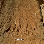 Tibesti Mountains. Large ‘Early Hunter Period’ engraving in outline of an elephant striding to the right with trunk curled back and up and tail thrust backwards. The tusk may be a later addition. Image ID: chatim0020004