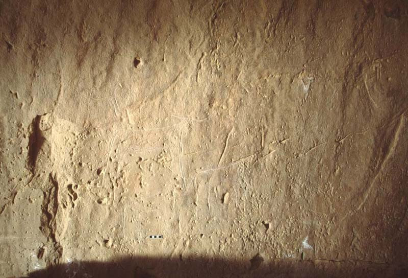 Gilf Kebir. Pecked outline engraving of five cattle facing right recorded by Frobenius. ID: egywan0020004