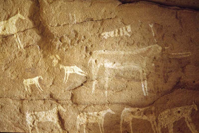 Gilf Kebir. Two white cows with horns turned slightly forward. ID: egywan0030004