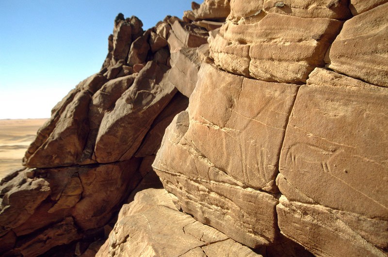 Western Desert. Pecked engravings with polished outlines and slightly sunken bodies of giraffe and rotund animal facing right. Image ID: egywde0020006