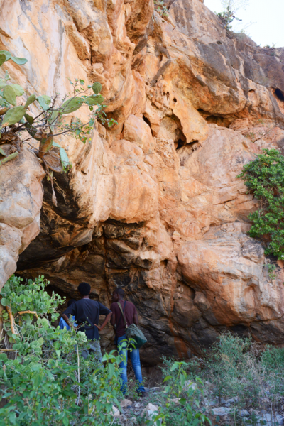 Porc Epic, Ethiopia, ETHPOR0010005