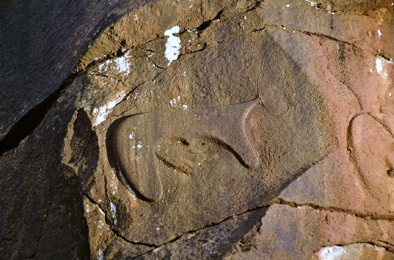 Sheppe, Sidamo, Ethiopia, ETHSID0060013