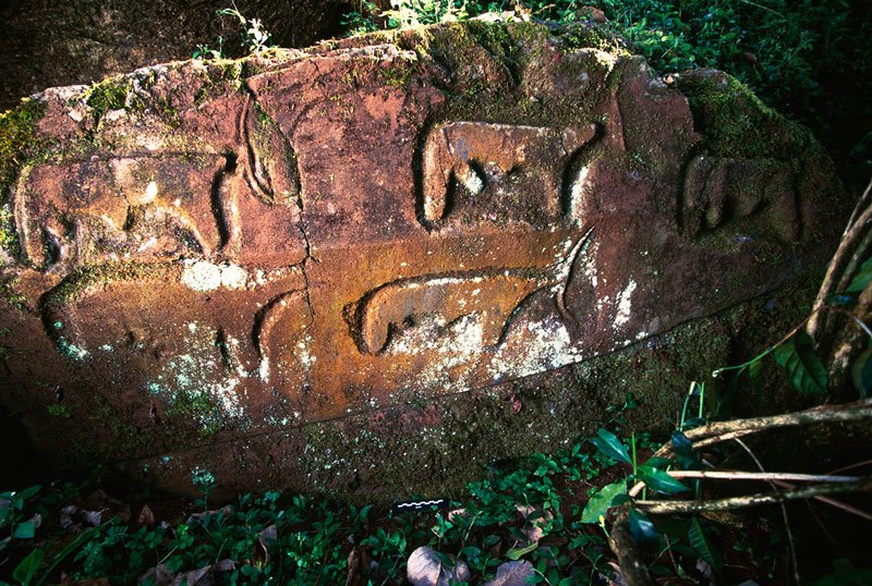Gelma, Ethiopia. Bas relief engravings on prepared sandstone face of five domestic bulls facing right. Bull at bottom right has no horns. Note part of engraving (of animal) between top bulls, perhaps abandoned when rock fractured. Image ID: ethsid0030006