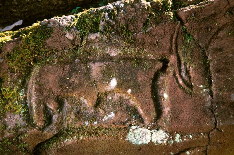 Gelma, Ethiopia. Bas relief engraving of bull with penis on same sandstone panel. Image ID: ethsid0030009